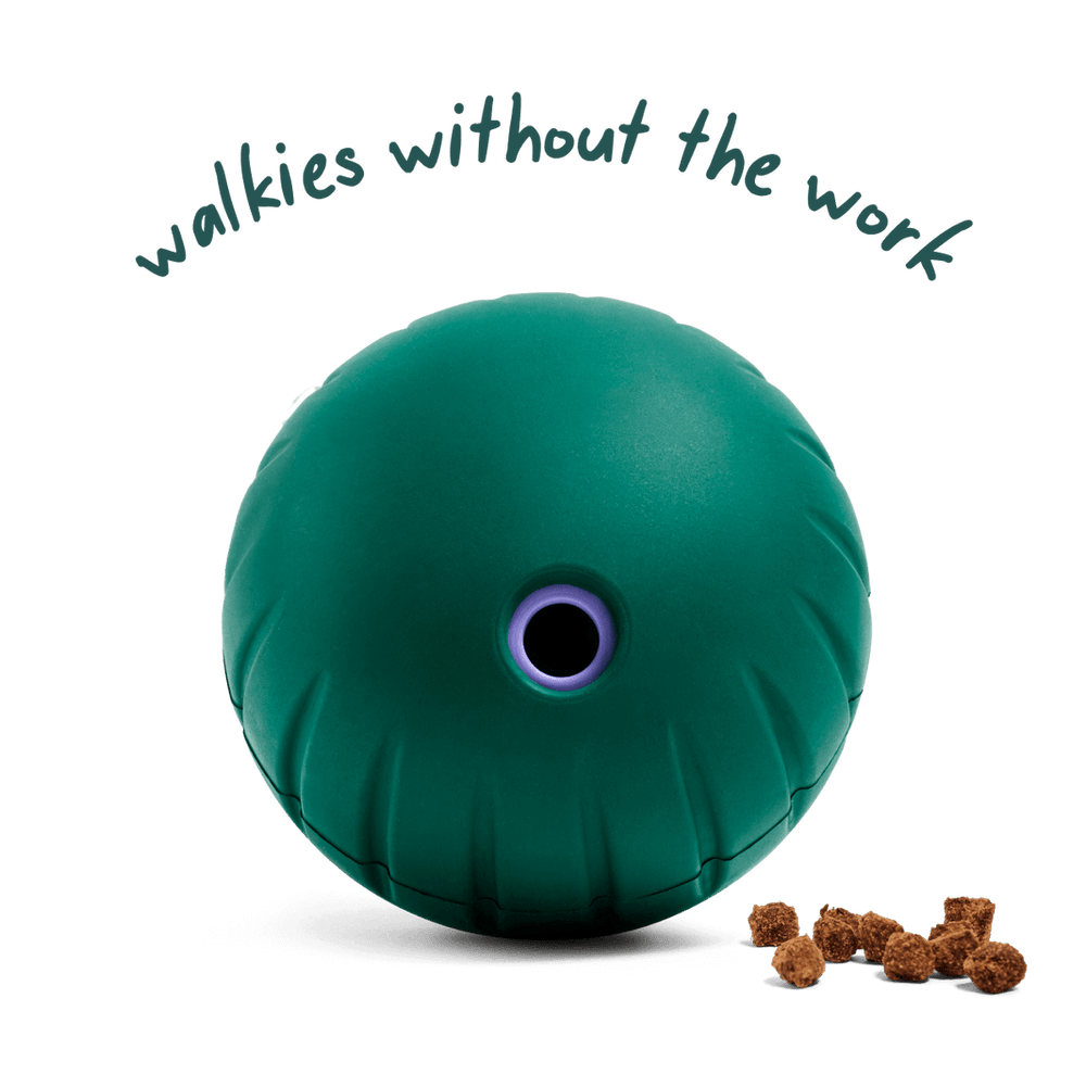 Woof Walkabout Treat Puzzle Ball and Slow Feeder Dog Bowl. 