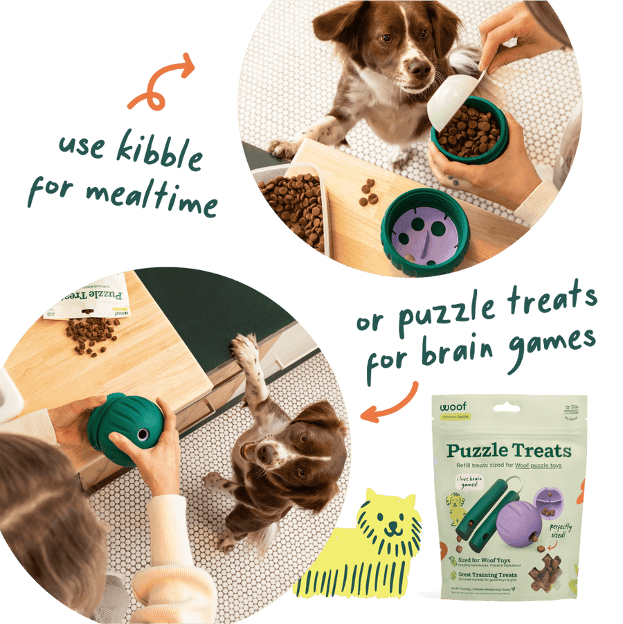 *Use kibble for mealtime
*Or puzzle treats for brain games