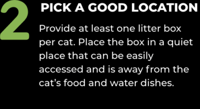 World's Best Cat Litter Comfort Care Unscented Clumping Cat Litter Pick Good Location text