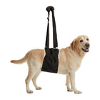 Dog wearing Zenpet Buddy Lift Canine Support & Rehabilitation Sling for Dogs