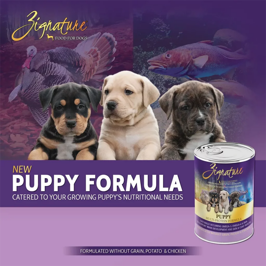 New Formula for Zignature Grain Free Multi Protein Puppy Canned Food