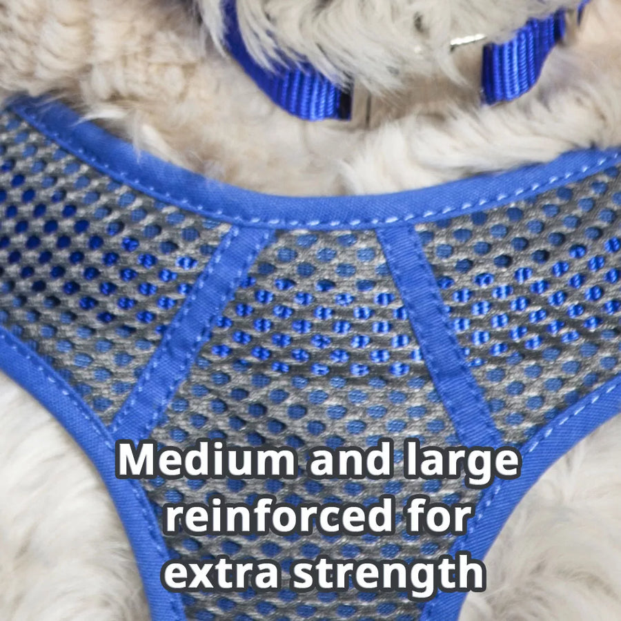 Comfort Soft Sport Wrap Adjustable Grey with Blue Dog Harness