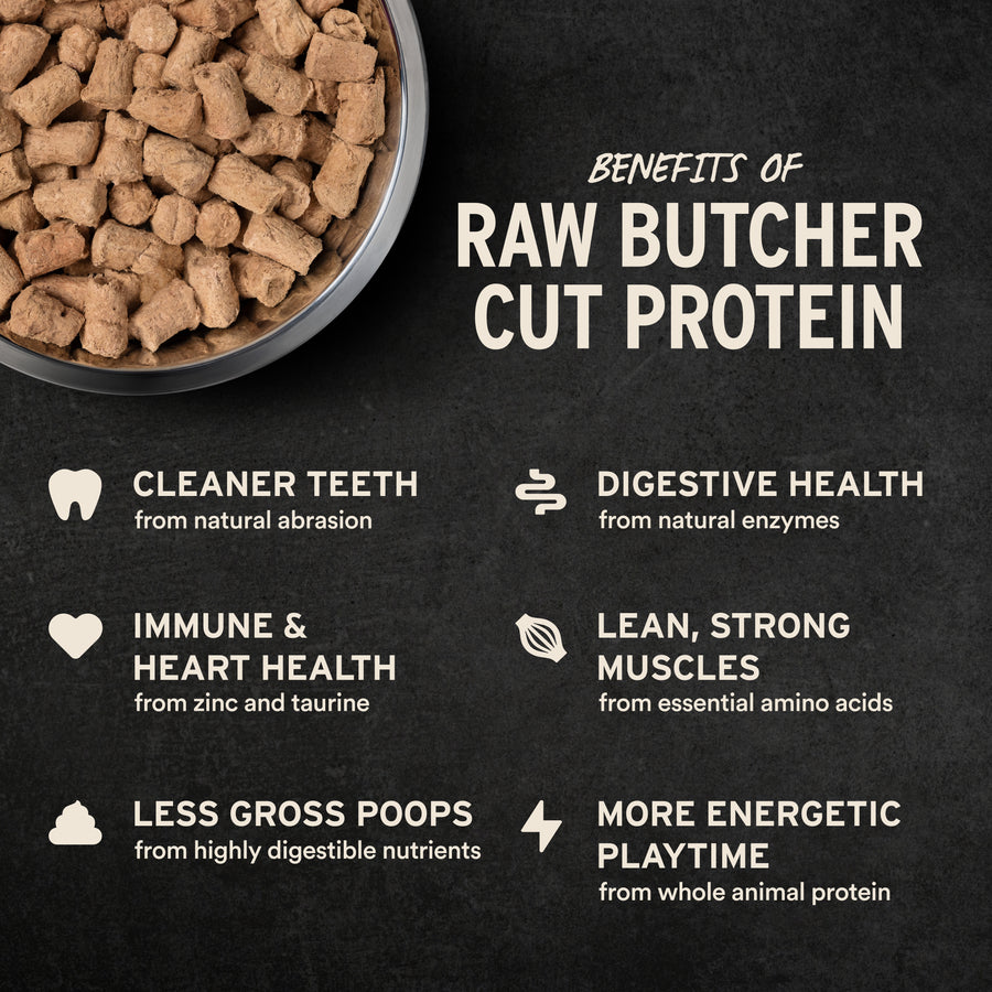 Vital Essentials Freeze Dried Beef Soft Nibs Dog Food