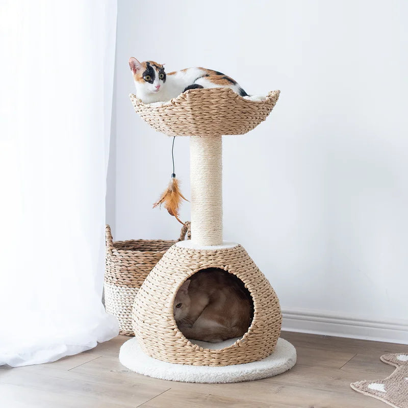 PetPals Walk Up 2 Level Cat Tree