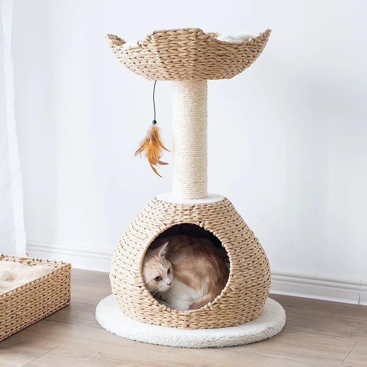 PetPals Walk Up 2 Level Cat Tree