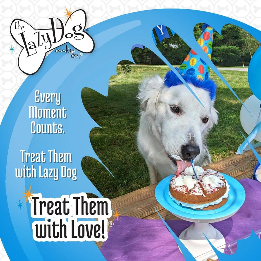 Lazy Dog Cookie Company Happy Birthday For A Charming Boy Pup-Pie Dog Treat