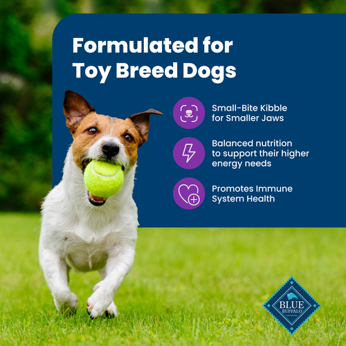 Blue Buffalo Life Protection Formula Natural Chicken & Brown Rice Recipe Adult Toy Breed Dry Dog Food