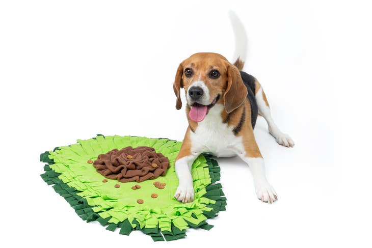 Injoya Avacado Treat Dispensing Snuffle Mat