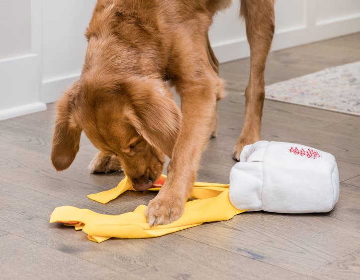 Injoya Take Out Treat Dispensing Snuffle Toy