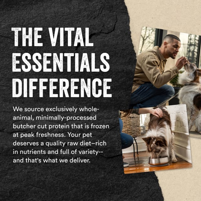 Vital Essentials Freeze-Dried Raw Protein Mix-In Beef Recipe Ground Topper for Dogs