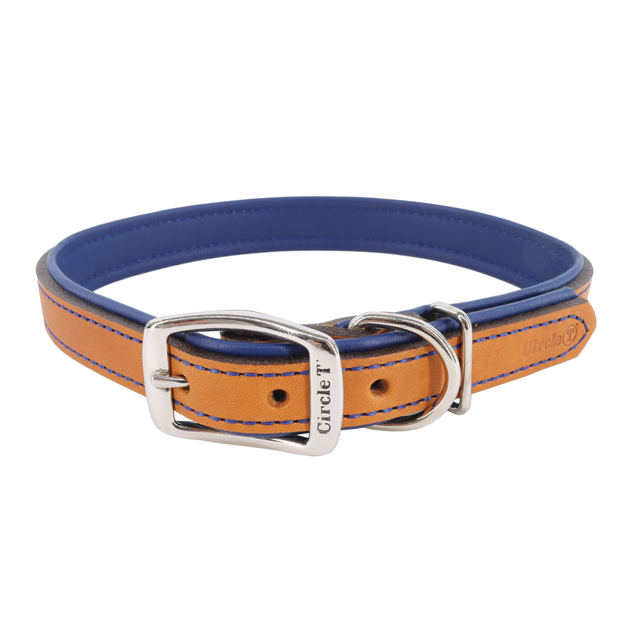 Circle T Layered Fashion Leather Dog Collar, Tan & Navy