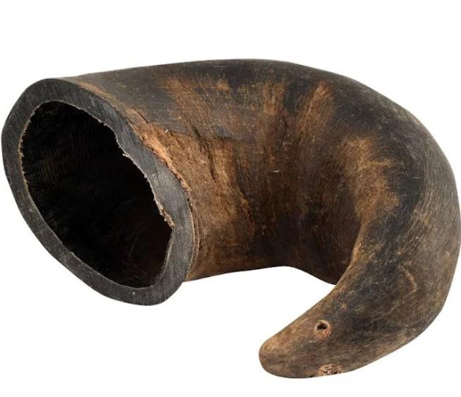 Honey I'm Home! Buffalo Horn Large Dog Chew