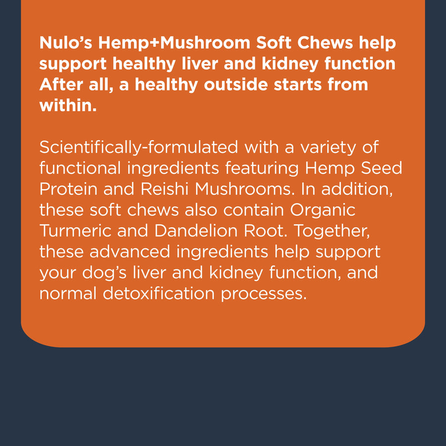 Nulo Functional Hemp and Mushroom Soft Chew Supplement For Dogs