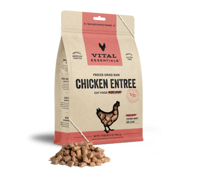 Vital Essentials Freeze-Dried Raw Chicken Entree Cat Food Mini Nibs