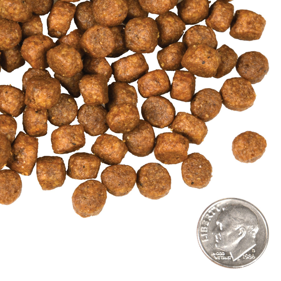 A size for every dog. Kibble approximately 2/3rds size of a dime.