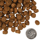 A size for every dog. Kibble approximately 2/3rds size of a dime.