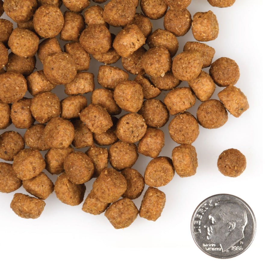 A size for every dog. Kibble approximately 2/3rds size of a dime.