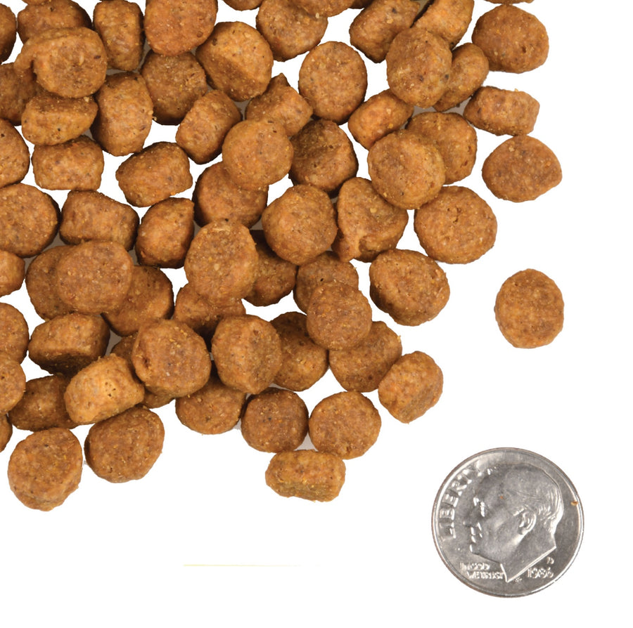 A size for every dog. Kibble approximately 2/3rds size of a dime.