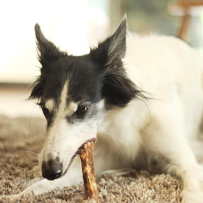 Tuesday's Natural Dog Company Chewy Bulls Dog Treat