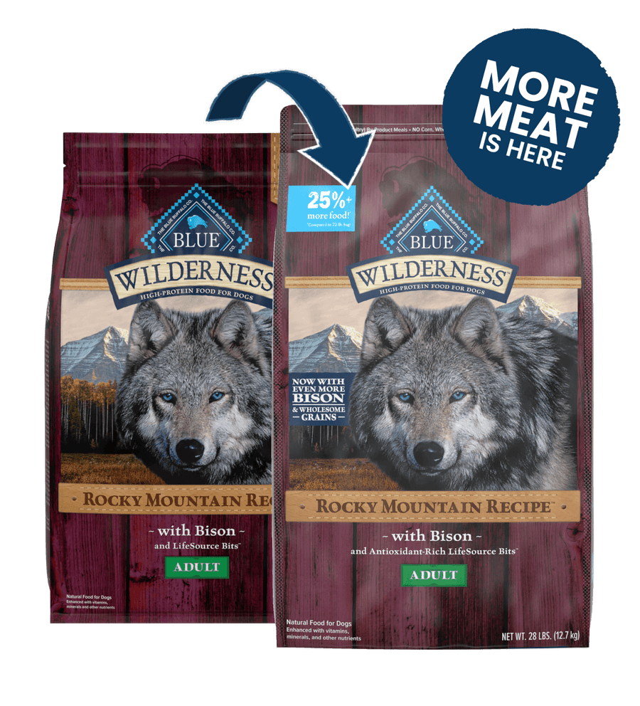 Blue Buffalo Wilderness Rocky Mountain Bison High Protein Recipe Adult Dry Dog Food