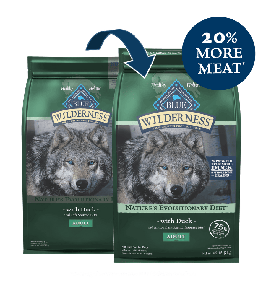 Blue Buffalo Wilderness High Protein Duck Recipe Dry Dog Food