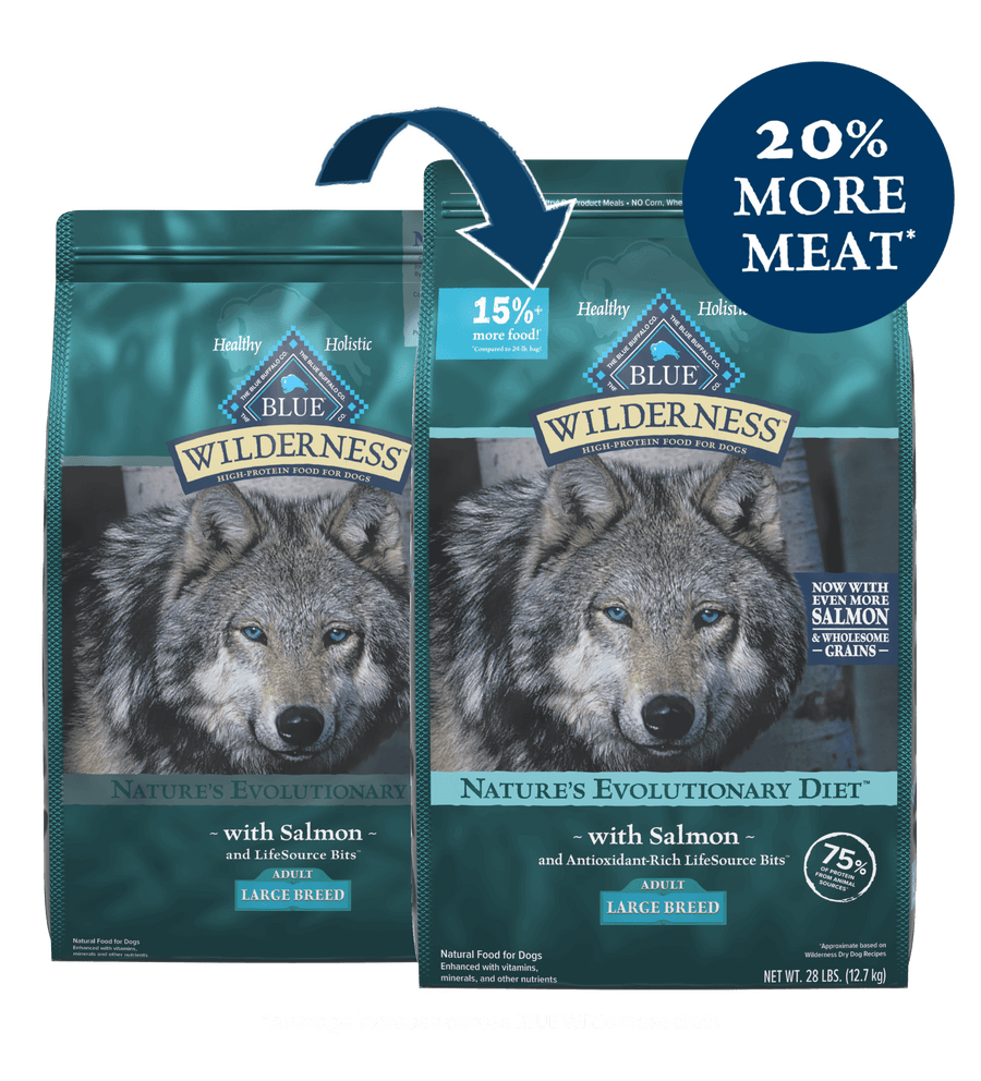 Blue Buffalo Wilderness High Protein Salmon Recipe Large Breed Dry Dog Food