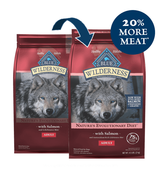 Blue Buffalo Wilderness Natural Salmon Recipe Adult Dry Dog Food