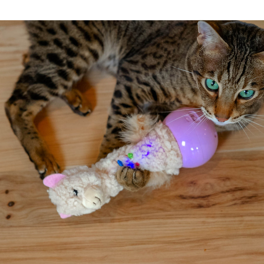 Catstages Electro Dancing Llama Cat Toy
