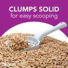 Clumps solid for easy scooping. Litter scooper holding clumped up pellets, on top of a pile of pellet litter.