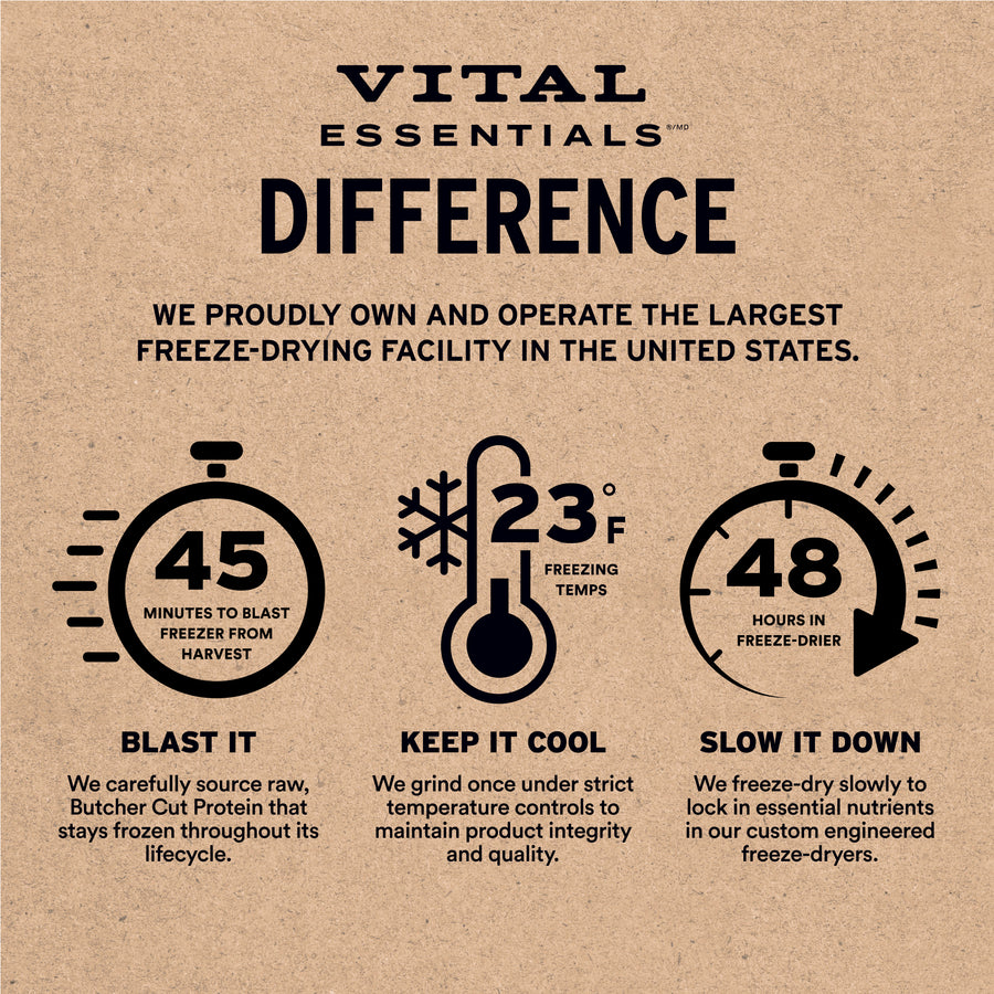 Vital Essentials Freeze Dried Beef Soft Nibs Dog Food
