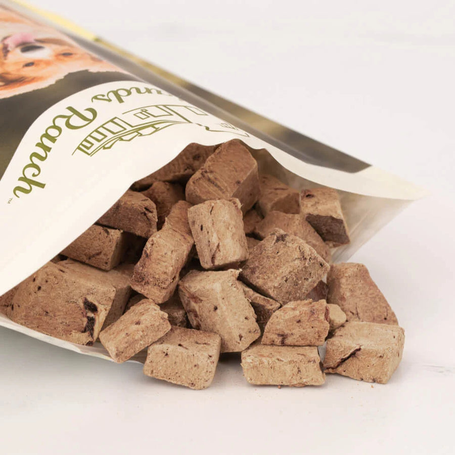 Badlands Ranch Freeze-Dried Superfood Bites Beef Liver Dog Treats