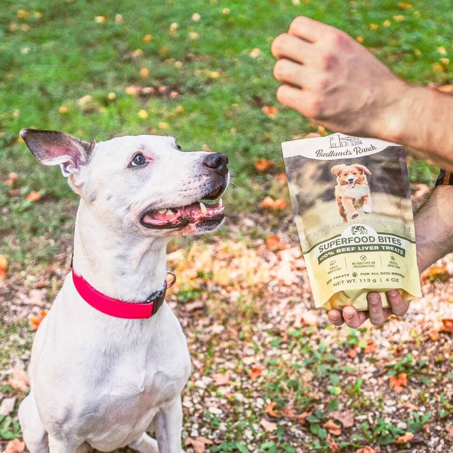 Badlands Ranch Freeze-Dried Superfood Bites Beef Liver Dog Treats