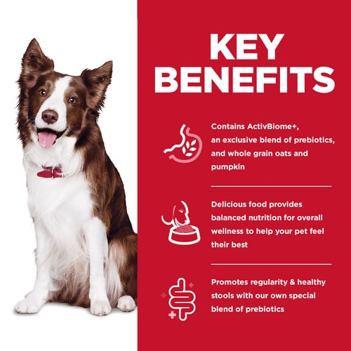 Hill's Science Diet Perfect Digestion Adult Dog Food