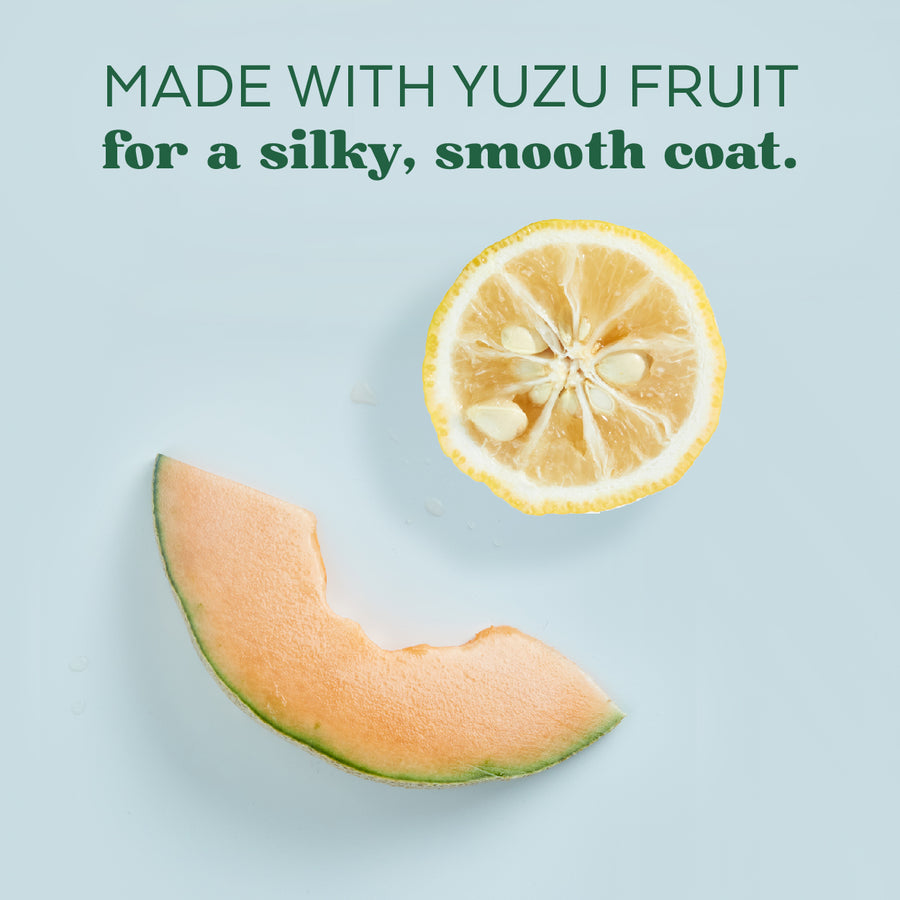 Tropiclean Yuzu Oil Moisturizing Pet Shampoo