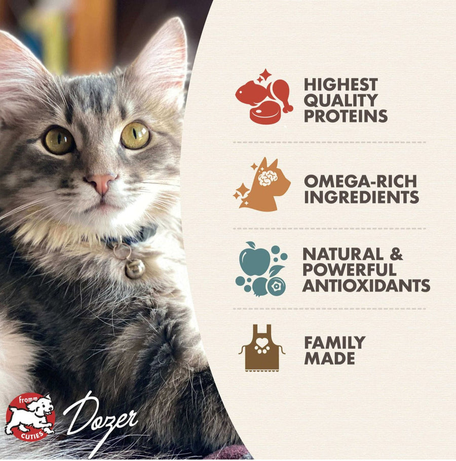 Fromm Gold Kitten Food