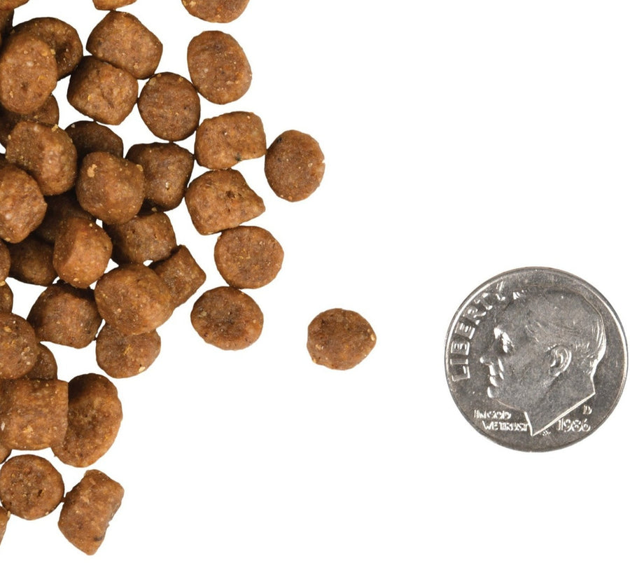 Fromm Gold Kitten Food