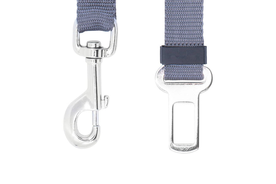 RC Pet Sit Tight Tether Grey