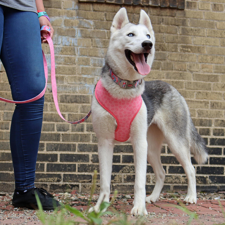 Coastal Pet Products Sublime Reversible Dog Harness, Pink Tie Dye with Pink Arrows