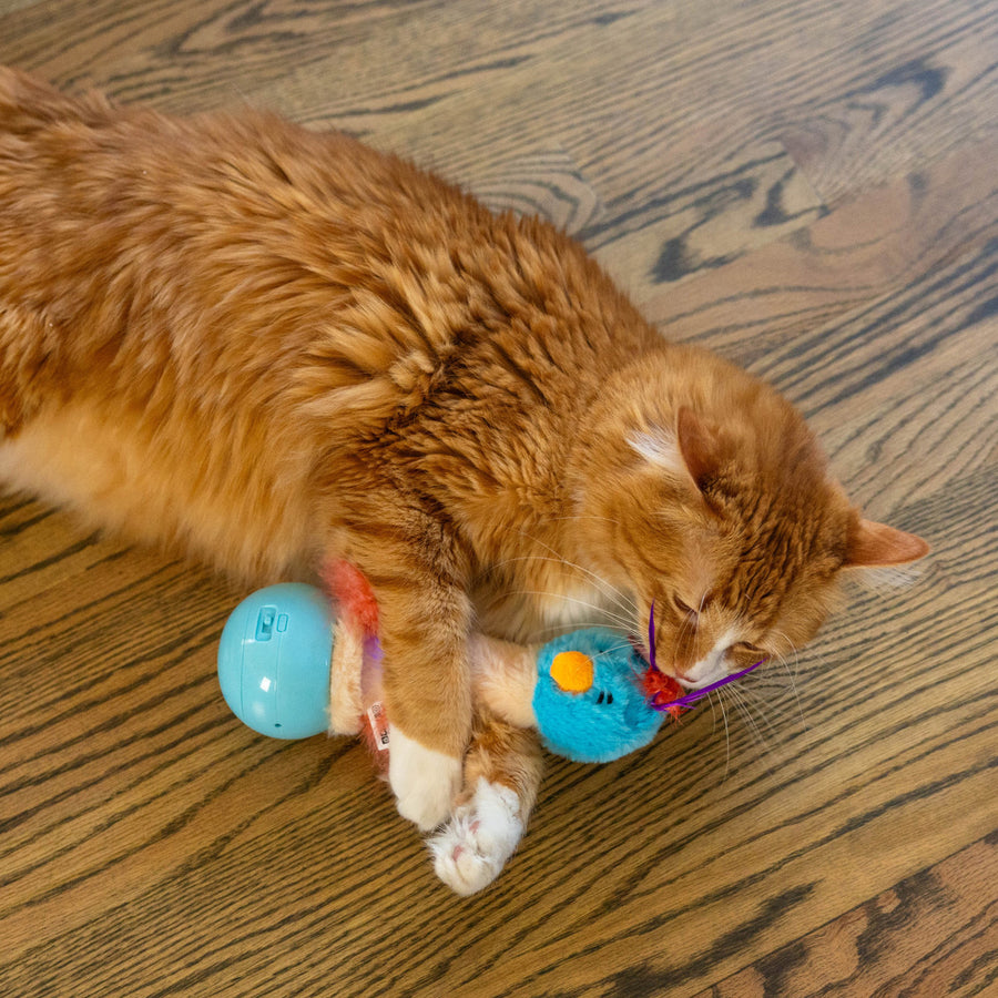 Catstages Electro Dancing Ostrich Cat Toy