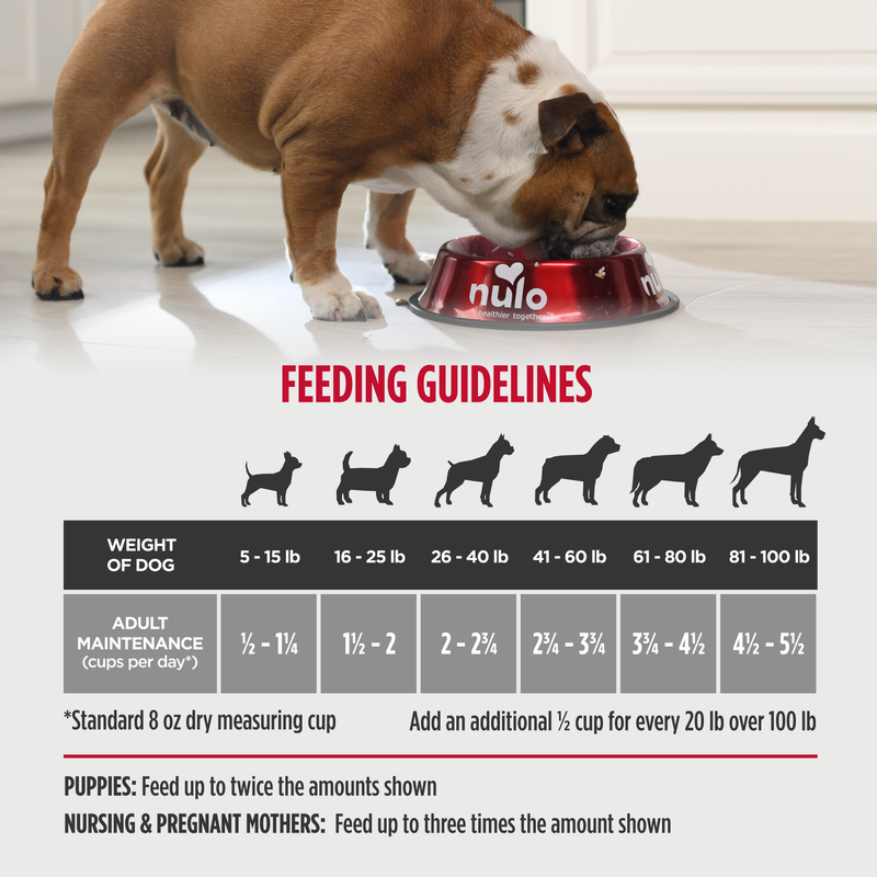 Nulo Cold Pressed Meals Chicken Formula Dog Food