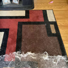 Uproot Cleaner Max Pet Hair Remover 2