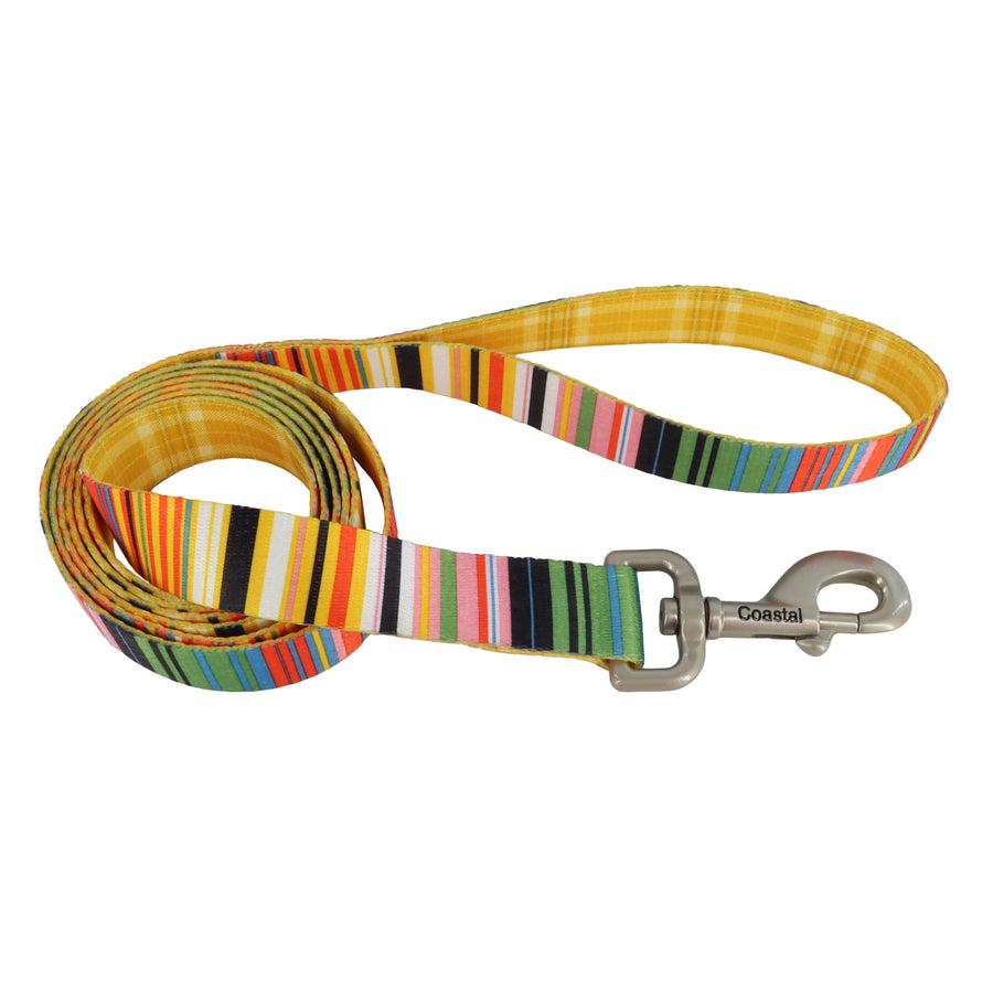 Sublime Dog Leash, Sublime Stripe with Gold Plaid 6 Foot