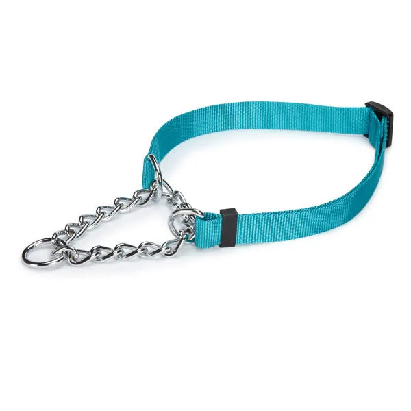 Guardian Gear Martingale Dog Collar, Blue