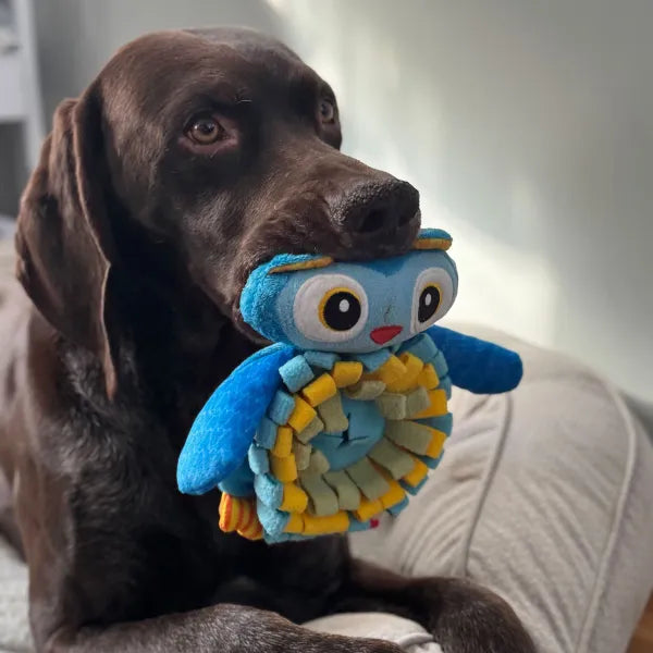Zanies Owl Sniffari Toy with Squeaker Dog Toy
