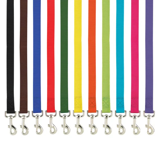 Colorful Leashes Lined Up WIth A White Background
