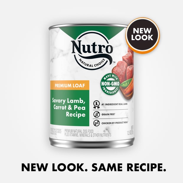 Nutro Premium Loaf Grain Free Savory Lamb, Carrot & Pea Adult Canned Dog Food