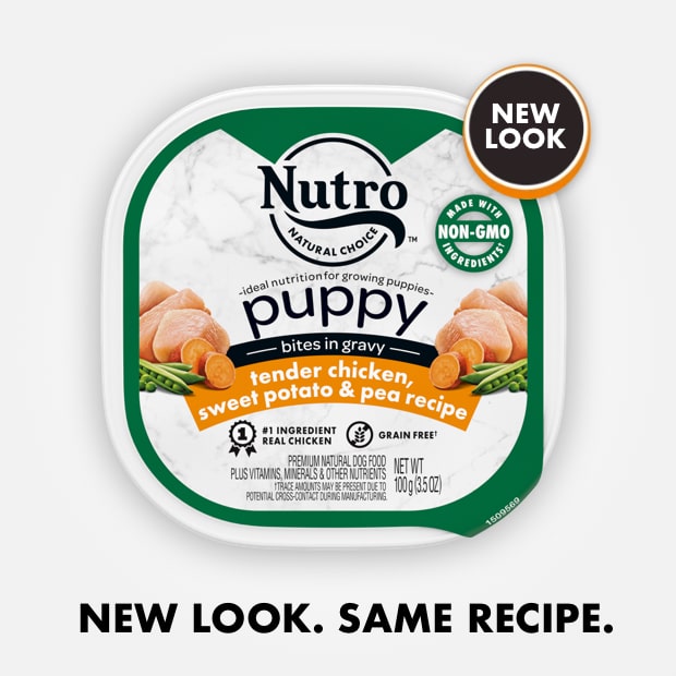 Nutro Puppy Tender Chicken & Rice Recipe Cuts In Gravy Dog Food Trays