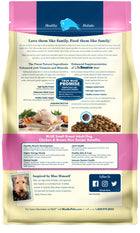 Blue Buffalo Life Protection Natural Chicken & Brown Rice Recipe Small Breed Adult Dry Dog Food