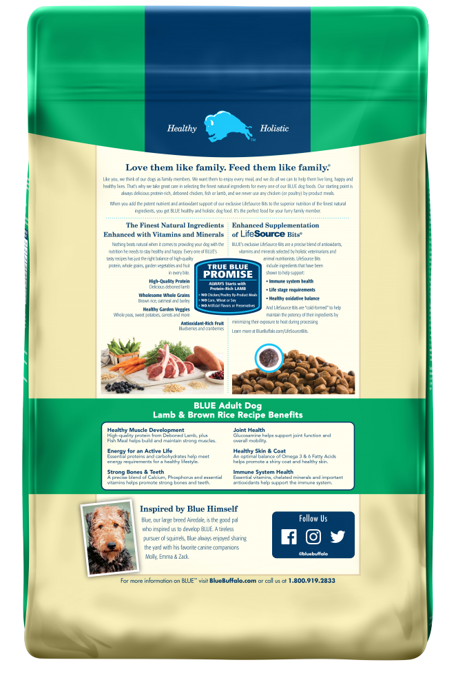 Blue Buffalo Life Protection Natural Lamb & Brown Rice Recipe Adult Dry Dog Food