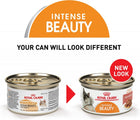 Royal Canin Intense Beauty Thin Slices in Gravy Canned Cat Food